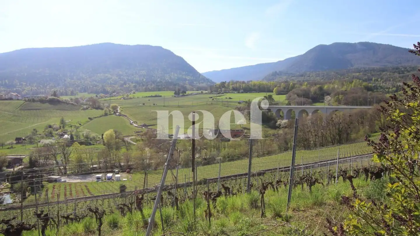 Apartment for rent - Rue De La Gare, 2017 Boudry - Photo 2