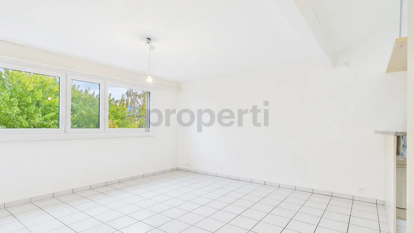 Attique à louer - 4153 Reinach BL