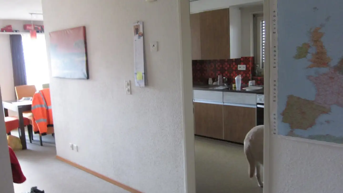 Appartement à louer - Zentrum 4, 9214 Kradolf - Photo 4