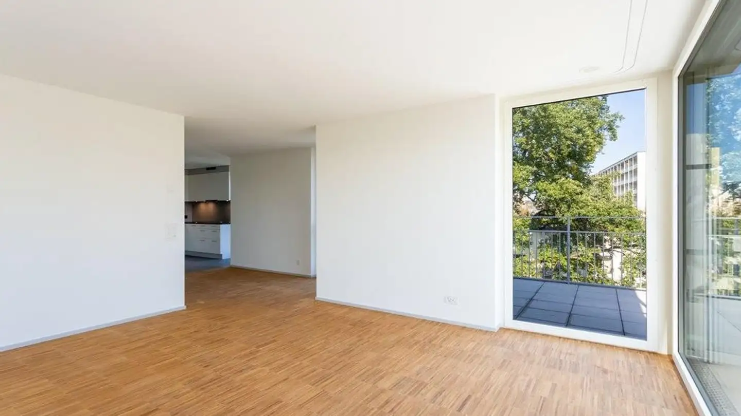 Appartamento in affitto - Altwiesenstrasse 284, 8051 Zürich - Foto 3
