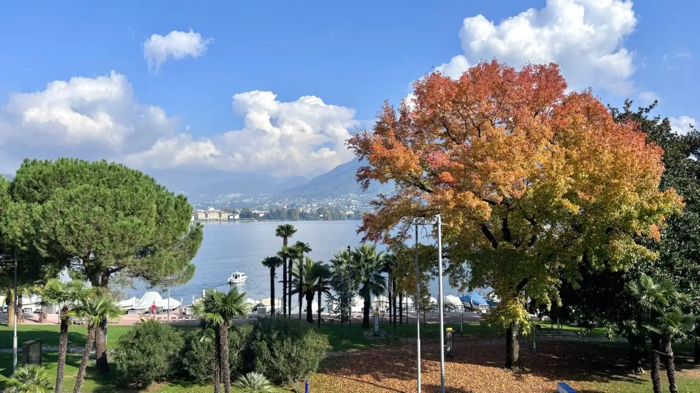 Appartamento in vendita - Riva Paradiso 4, 6900 Paradiso