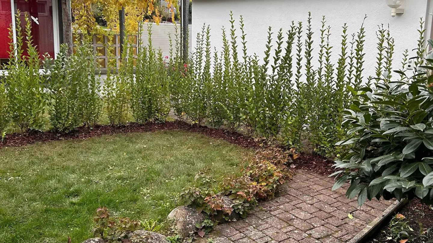 Wohnung mieten - Brunnehof 4a, 6017 Ruswil - Foto 4