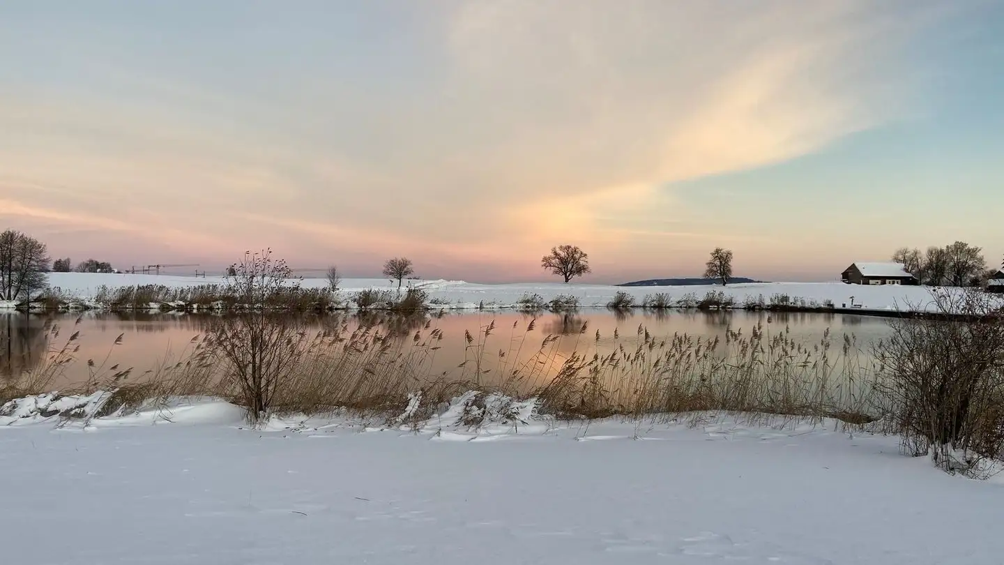 Reihenhaus mieten - Samstagernstrasse 32e, 8832 Wollerau