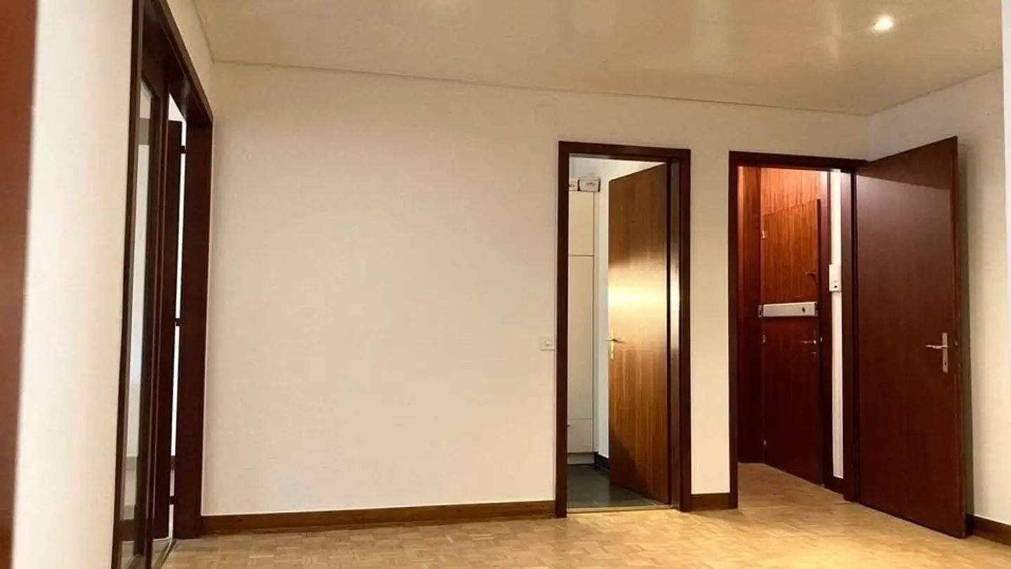 Appartamento in affitto - Chemin Du Pommier, 1218 Le Grand-Saconnex - Foto 4