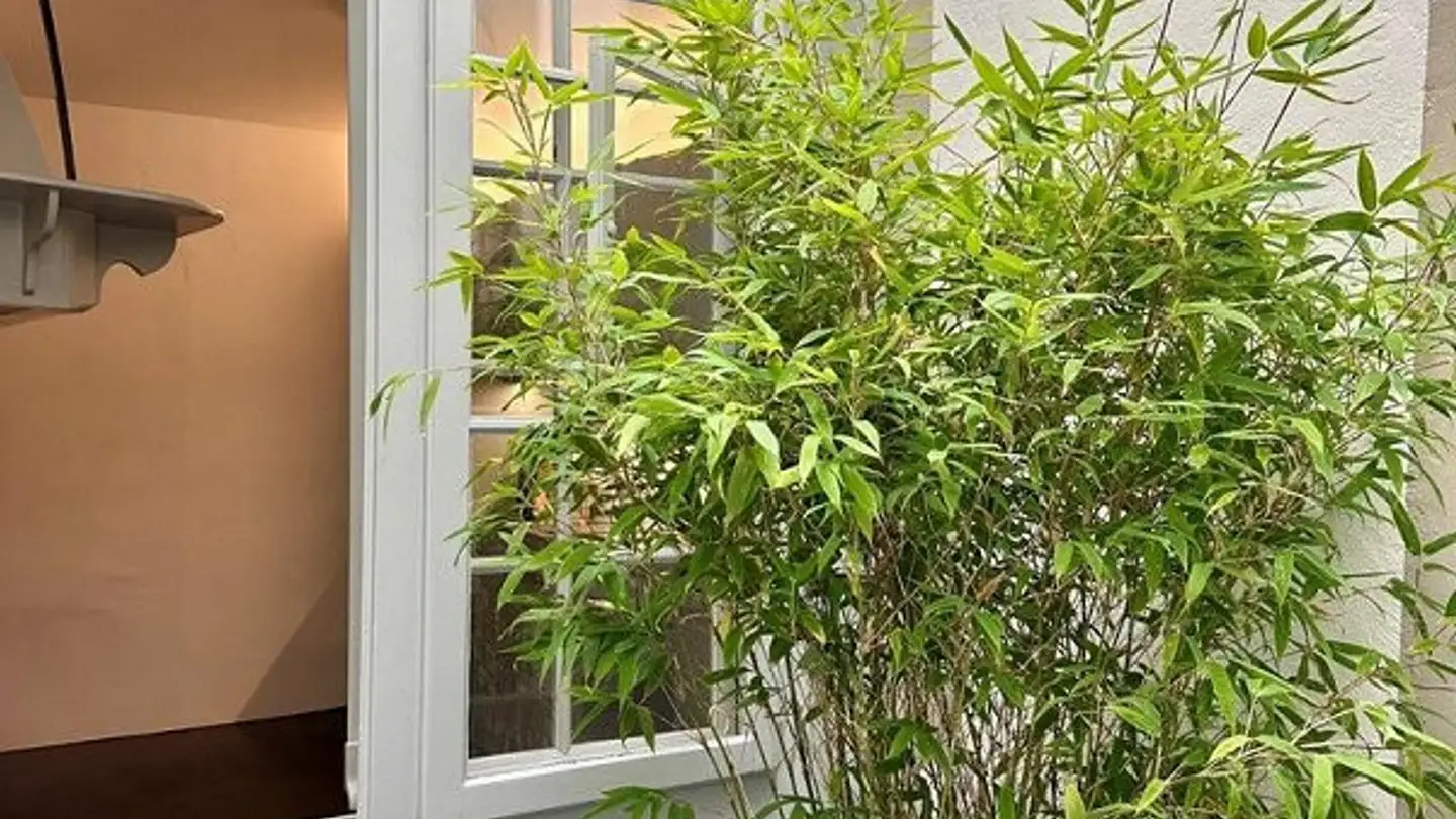 Appartamento in affitto - Kramgasse 21, 3011 Bern - Foto 2