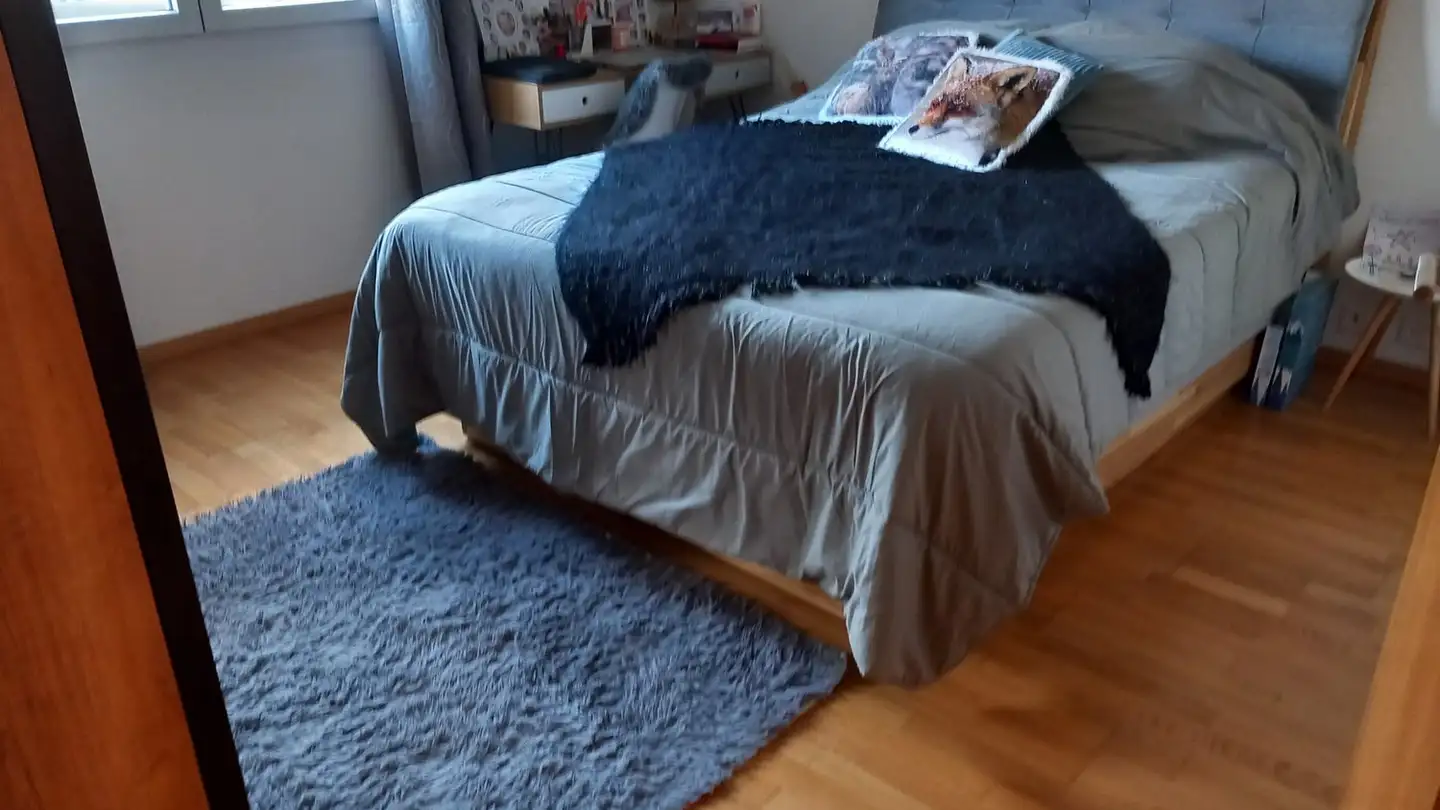 Wohnung mieten - 1967 Bramois