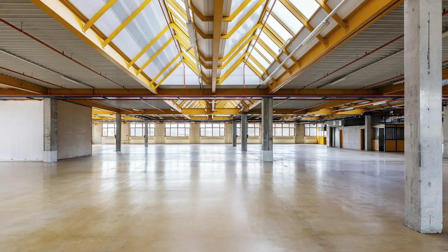 Commerciale in affitto - Leymenstrasse 18, 4105 Biel-Benken BL - Photo 4