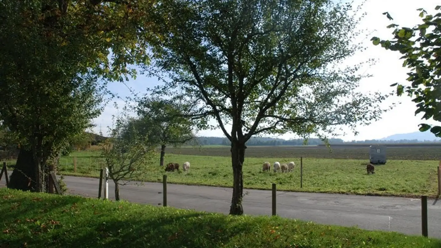 Appartamento in affitto - Gasse, 2553 Safnern - Foto 3