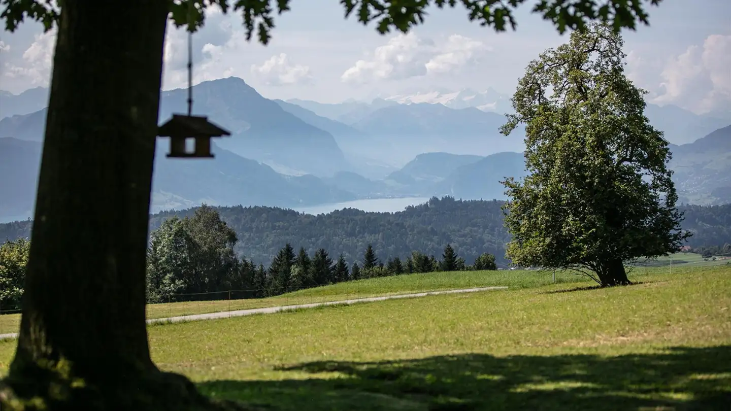 Einfamilienhaus kaufen - 6044 Udligenswil - Foto 4