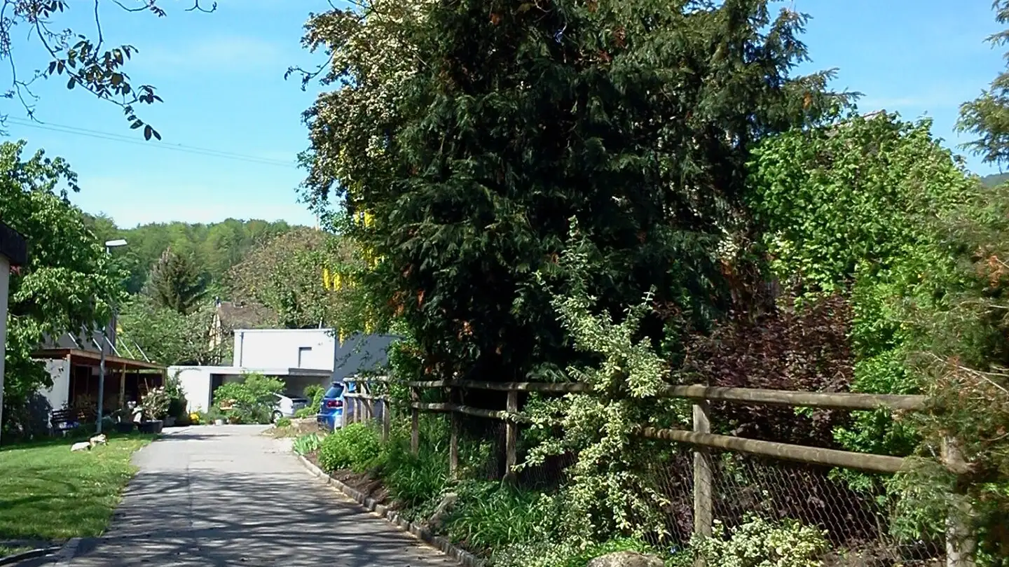 Single house for sale - Waldbachweg 3c, 5024 Küttigen