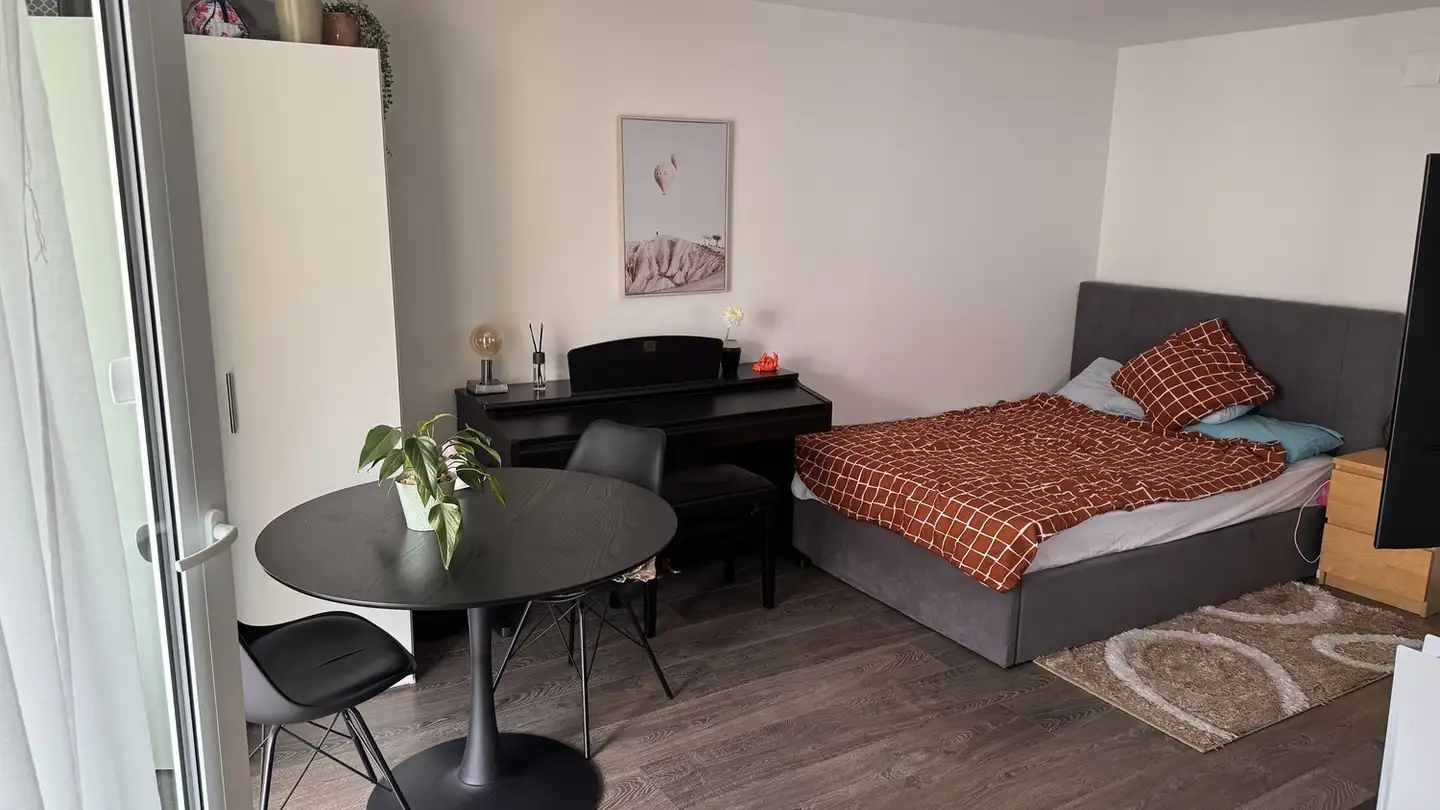 Furnished apartment for rent - 8600 Dübendorf