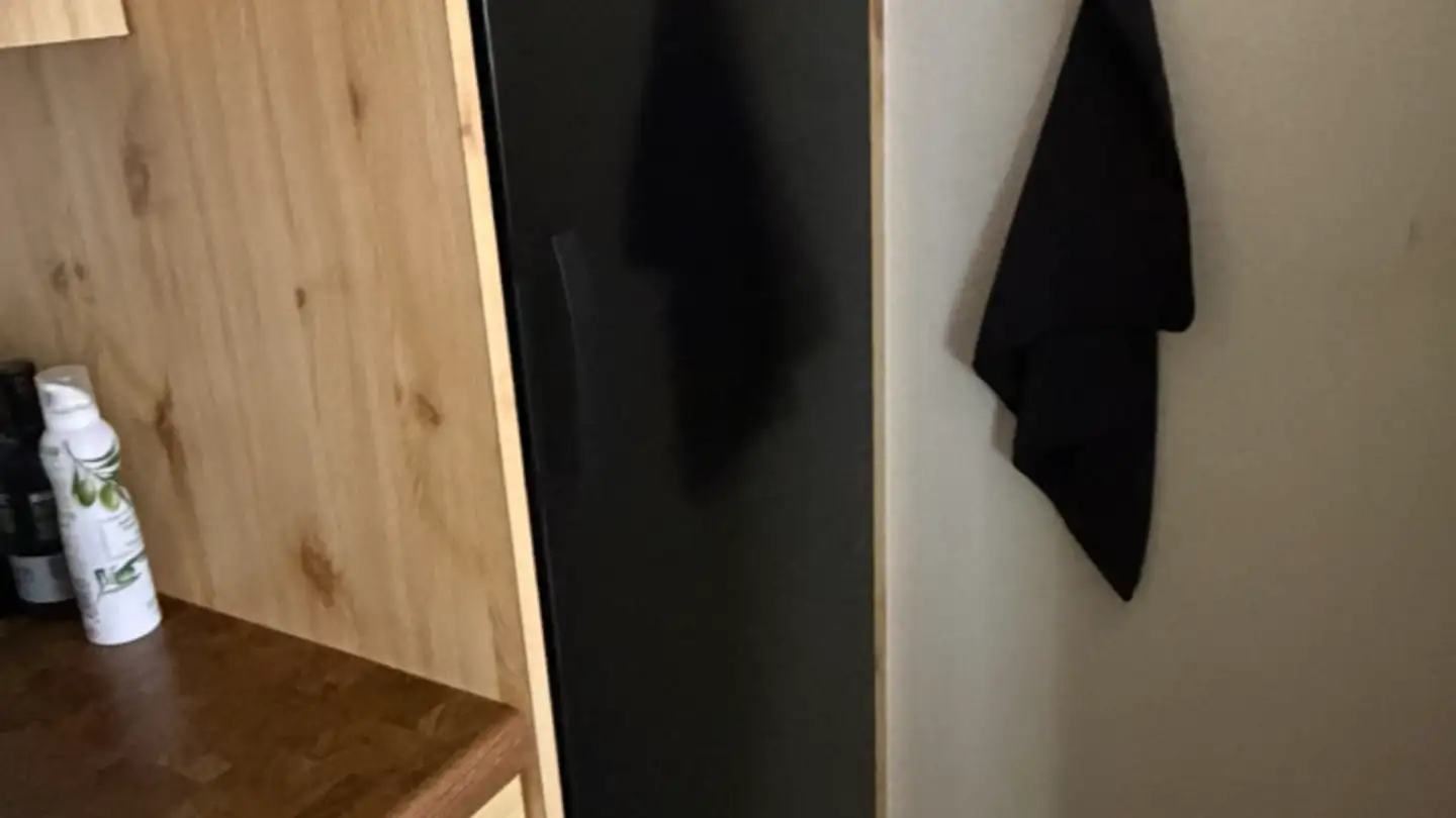 Appartamento in affitto - Grüzenstrasse 49, 8600 Dübendorf - Foto 2