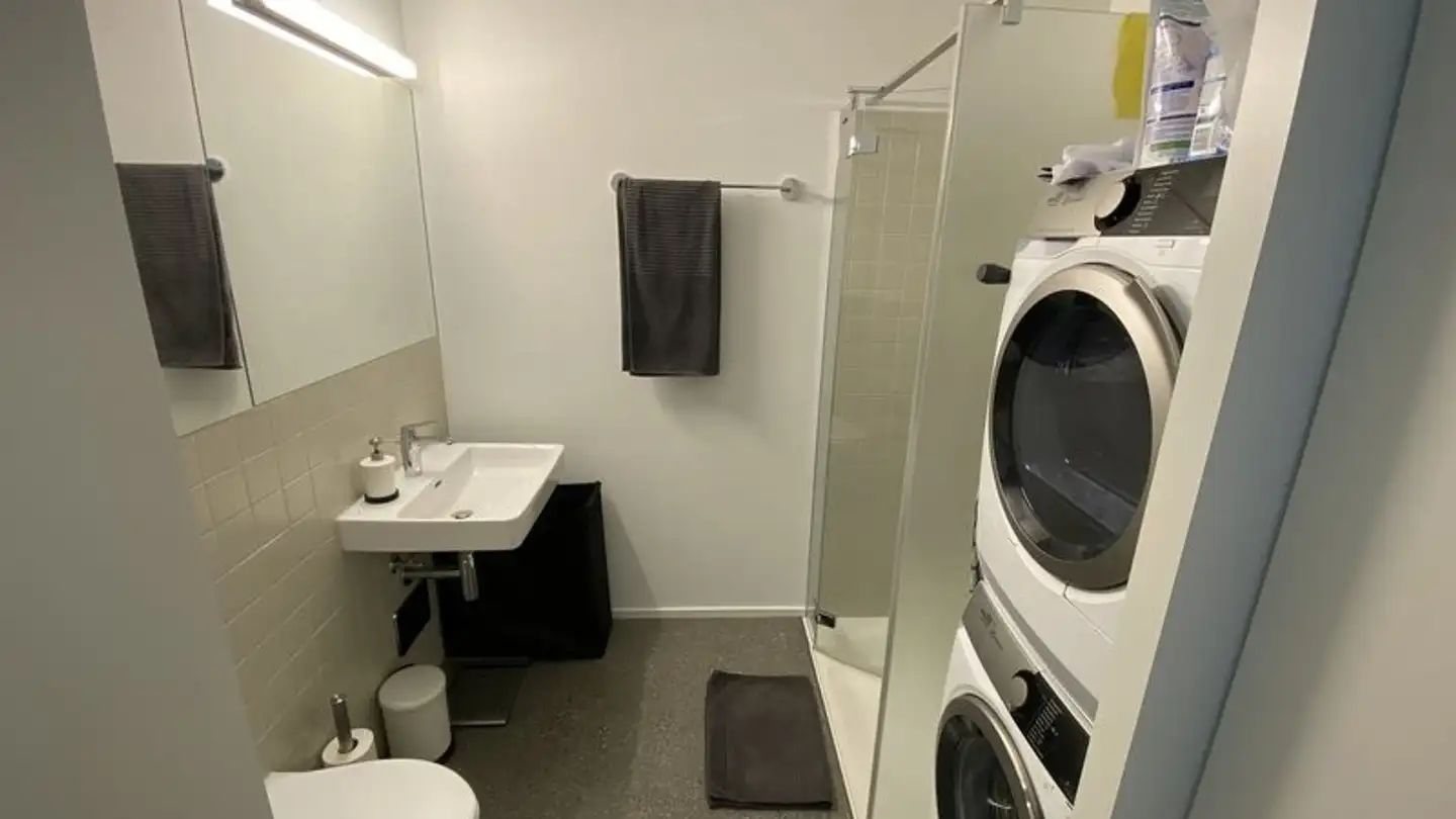 Wohnung mieten - Steinwiesenstrasse 9, 8952 Schlieren - Foto 3