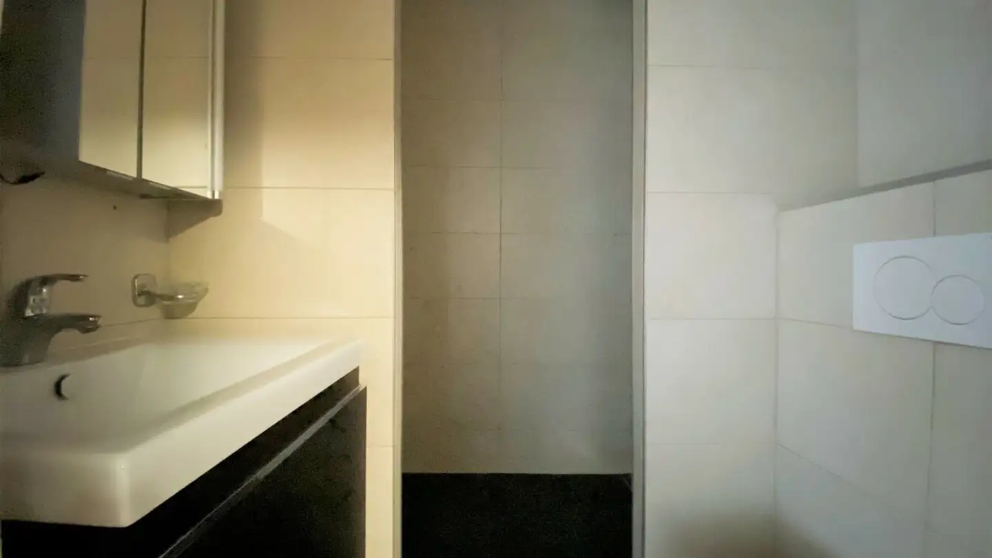 Apartment for rent - Rue Des Allobroges, 1227 Carouge GE - Photo 4