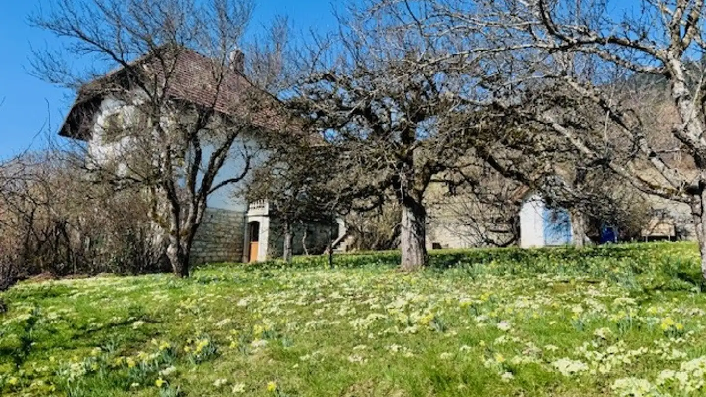 Maison individuelle à vendre - Rue De Bellevue 25, 2052 Fontainemelon - Photo 2