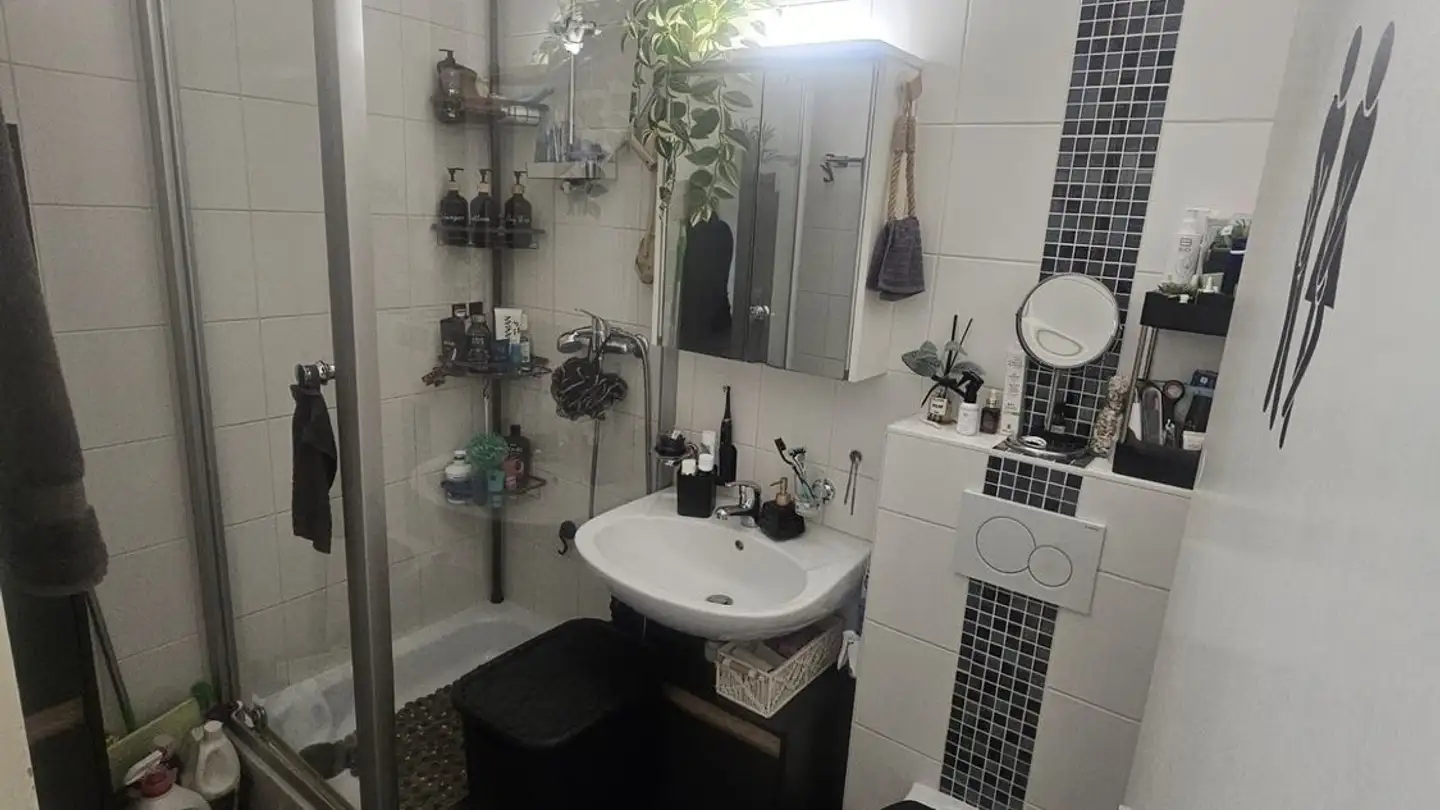 Appartamento in affitto - Route Sous Le Scex, 1844 Villeneuve VD - Foto 4