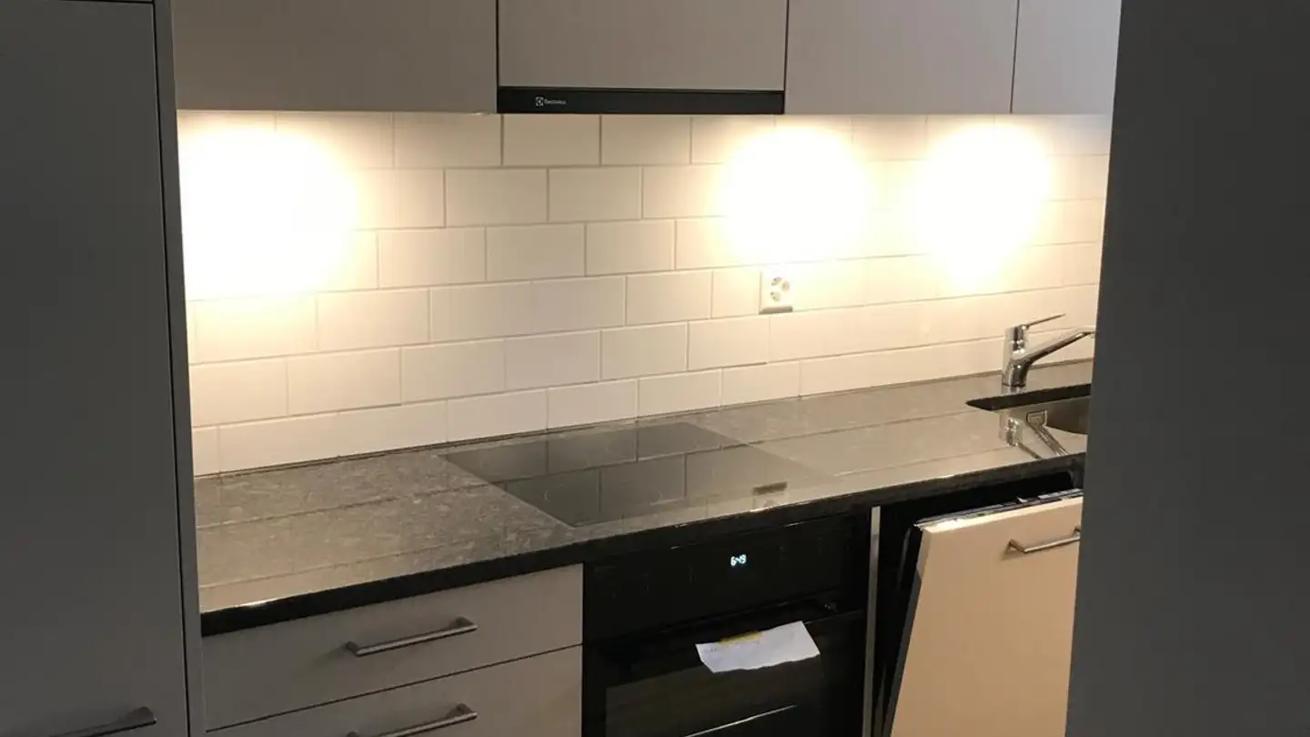 Appartamento in affitto - Rütistrasse 28, 8134 Adliswil - Photo 4