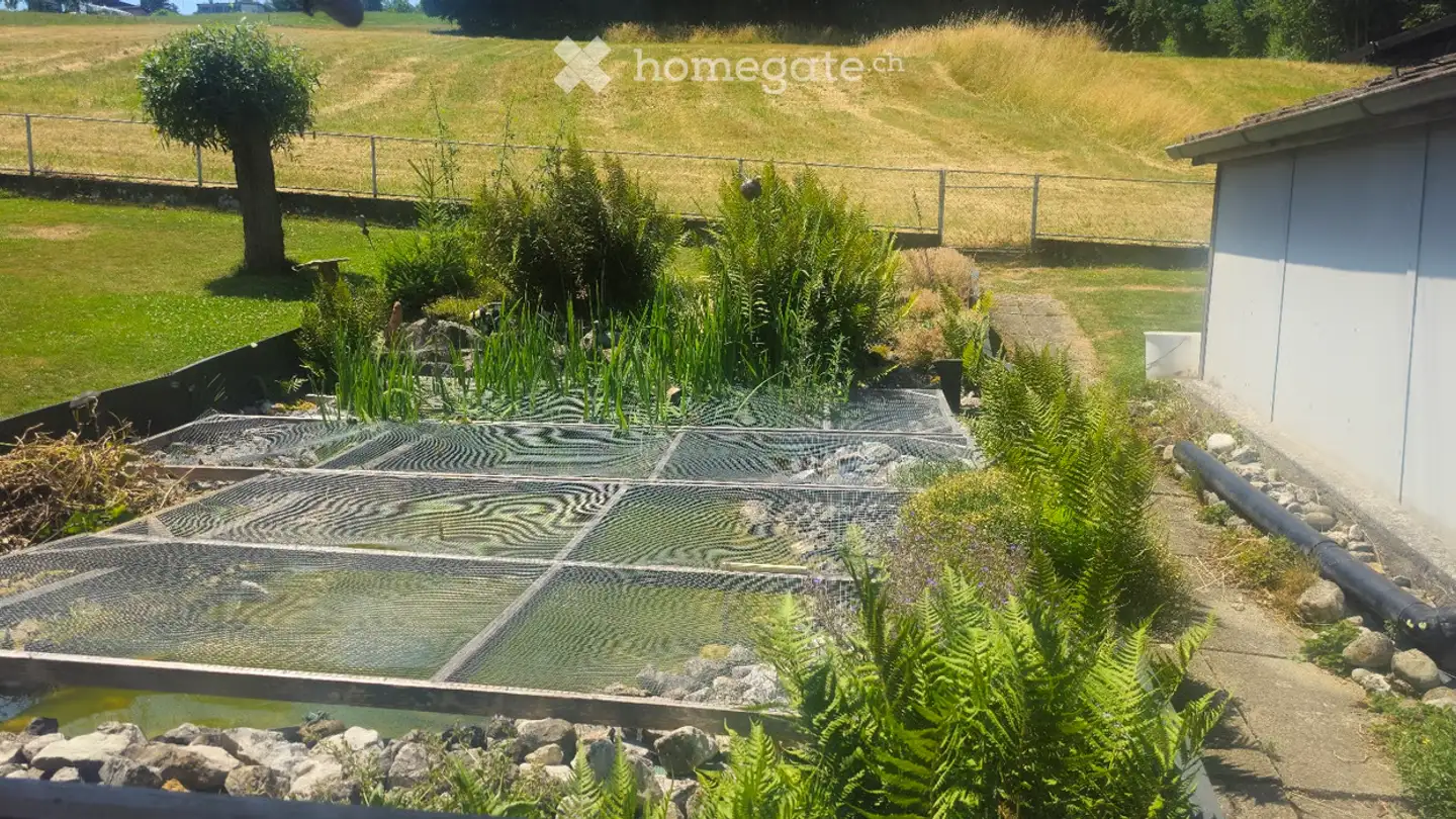 Single house for rent - Klöpfistrasse, 5708 Birrwil - Photo 3