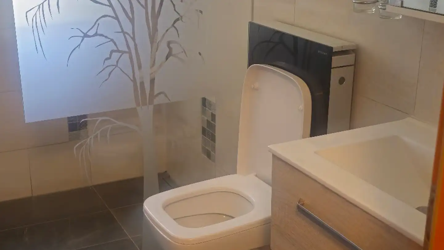 Single house for rent - Klöpfistrasse, 5708 Birrwil - Photo 4