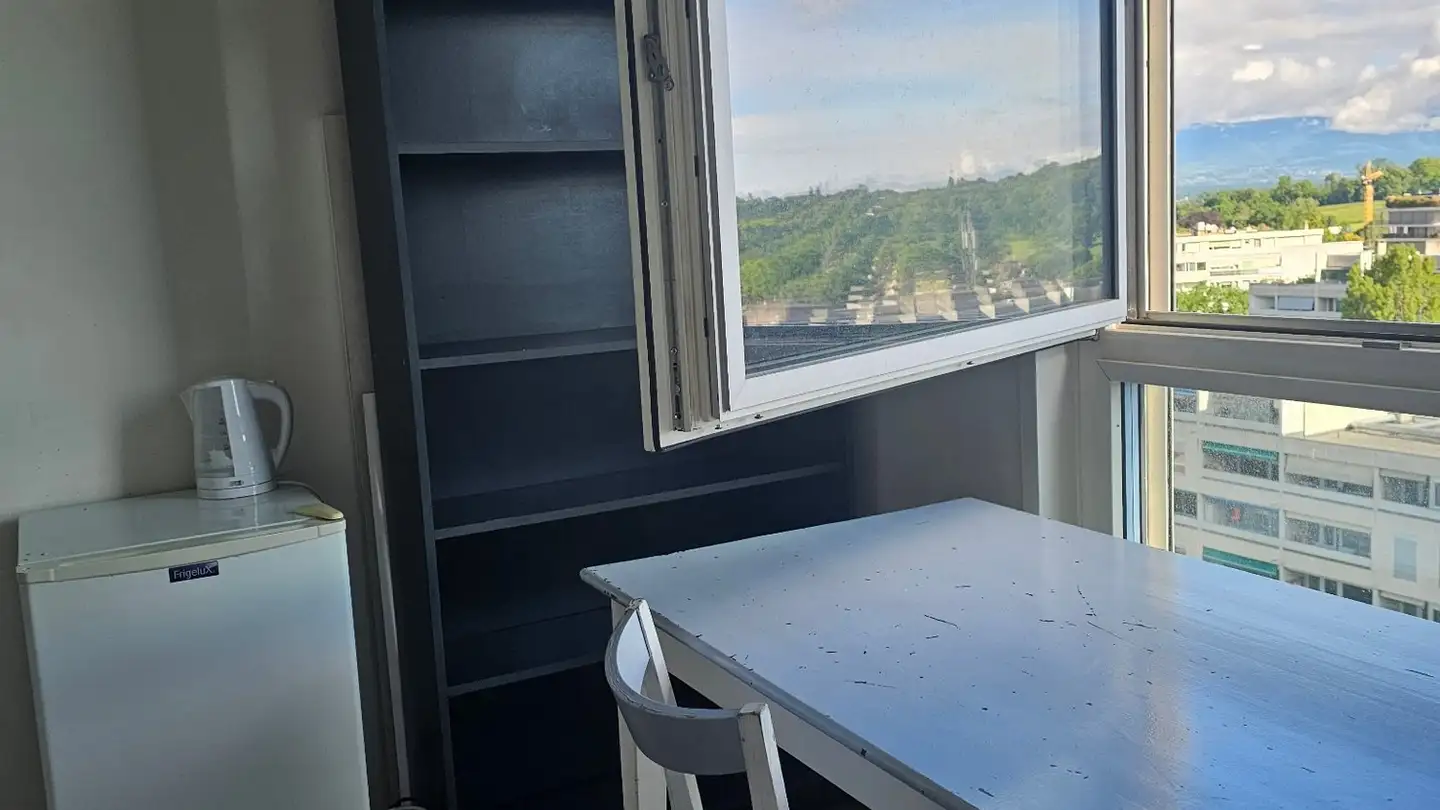 Single room for rent - Rue De Chêne-Bougeries, 1224 Chêne-Bougeries