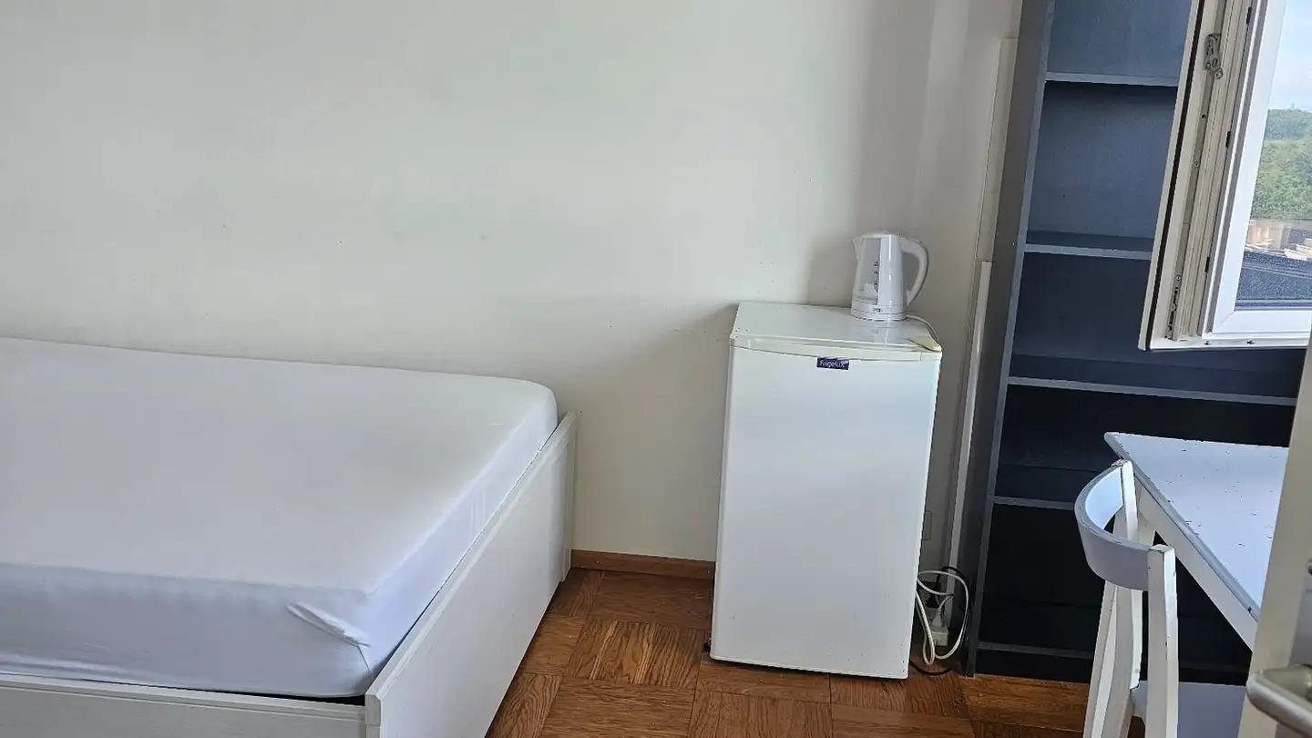 Single room for rent - Rue De Chêne-Bougeries, 1224 Chêne-Bougeries - Photo 2