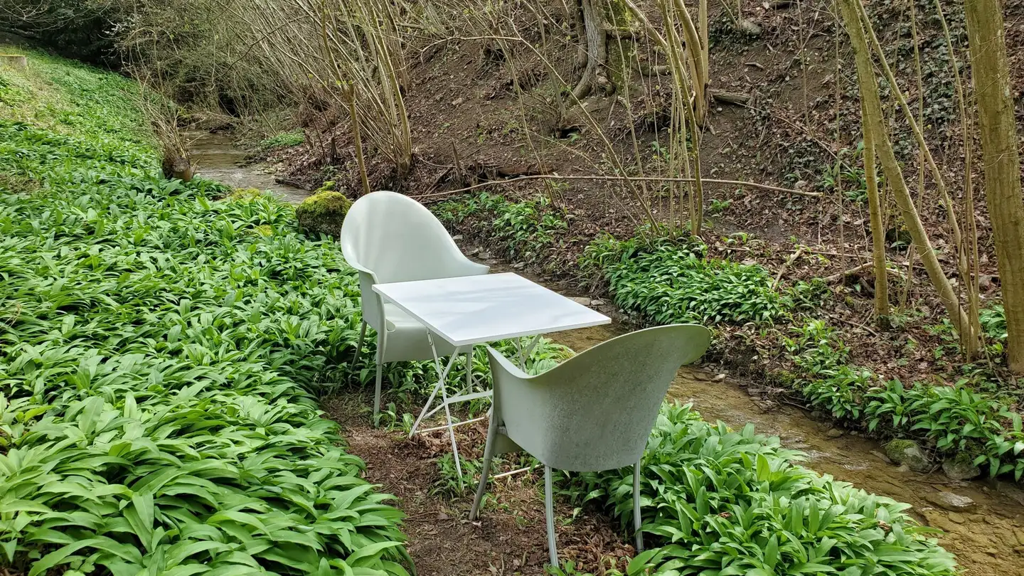 Casa singola in vendita - Waldbachweg 3c, 5024 Küttigen - Photo 4