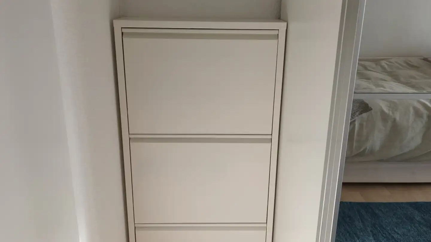 Appartement meublé à louer - Höllbündtenstrasse 11, 8964 Rudolfstetten - Photo 4