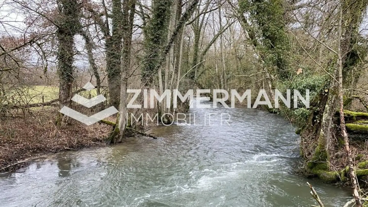 Appartamento in affitto - Route De Sauverny, 1290 Versoix