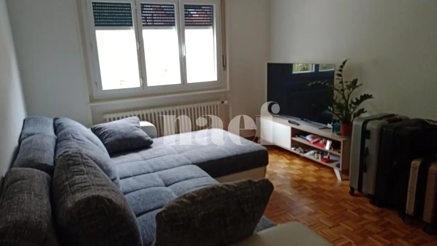Apartment for rent - Chemin Sous-Le-Château 4, 1350 Orbe - Photo 4