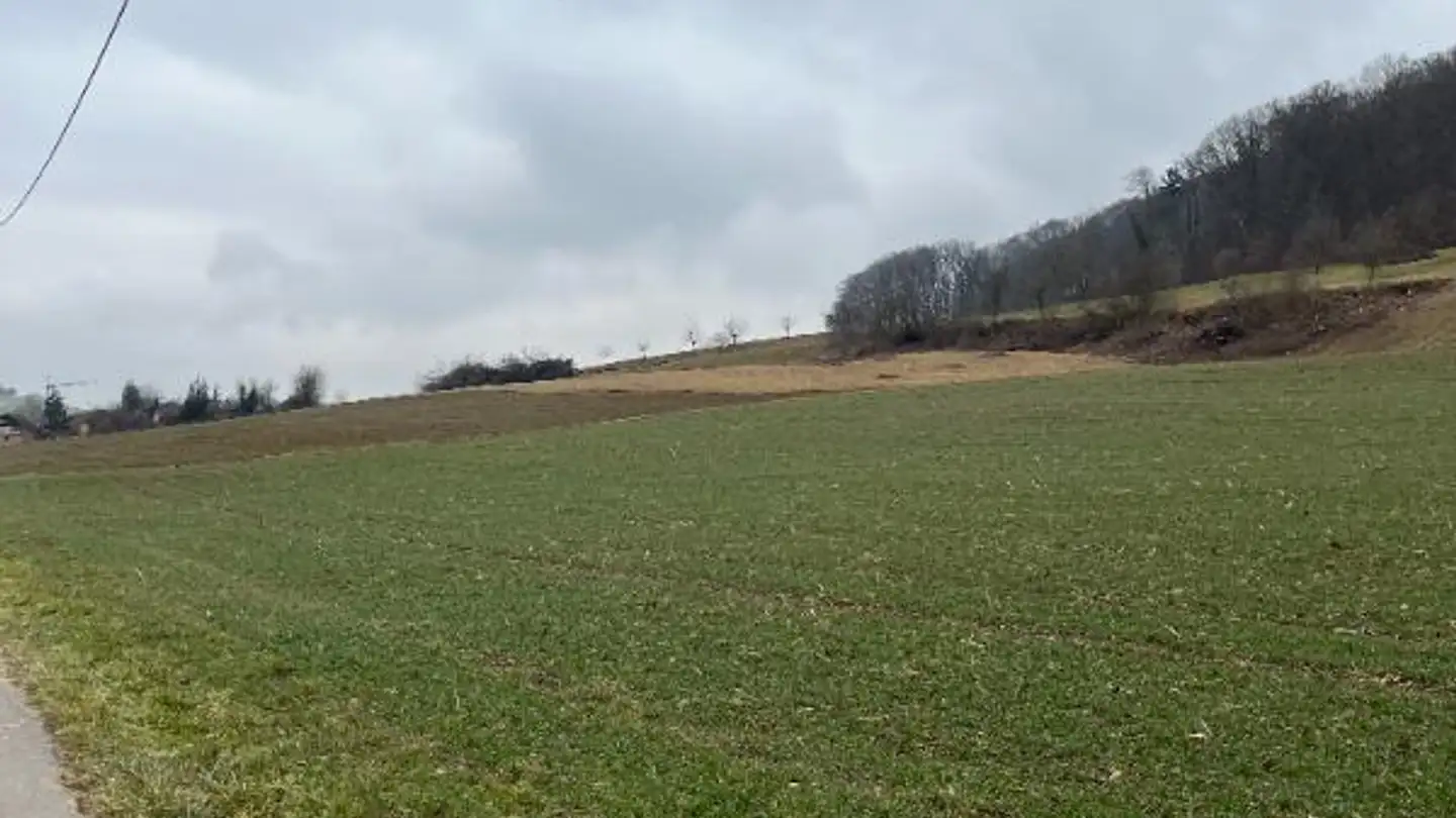 Appartement à louer - Rütihofstrasse 5, 5462 Siglistorf