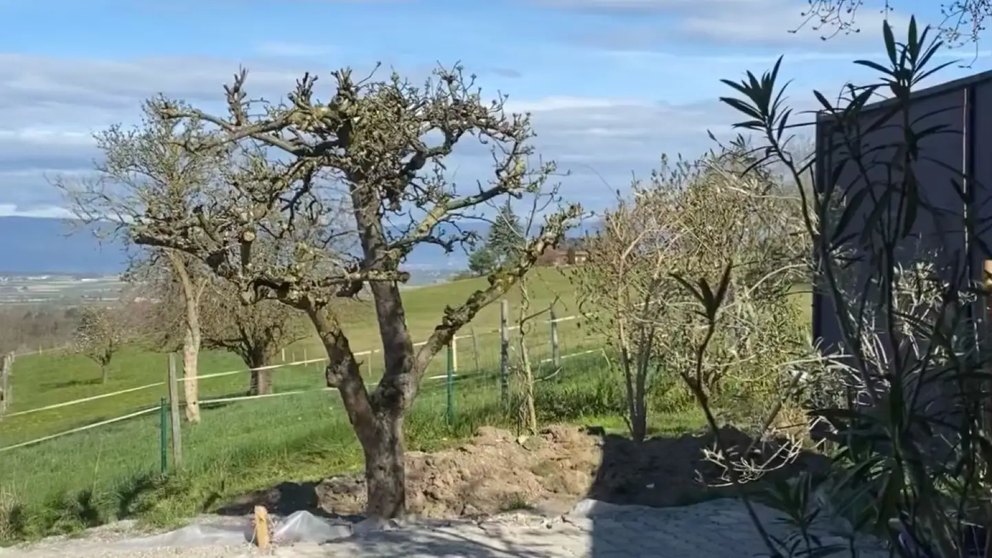 Wohnung mieten - Impasse Des Rochettes 8, 1776 Montagny-la-Ville - Foto 4