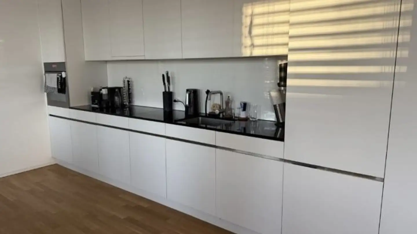 Appartamento in affitto - Eggbühlstrasse 1, 8050 Zürich - Foto 2