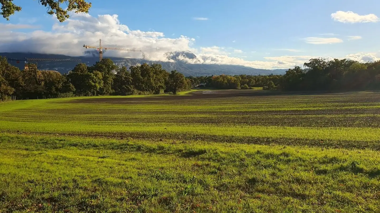 Appartement à louer - 1224 Chêne-Bougeries - Photo 3