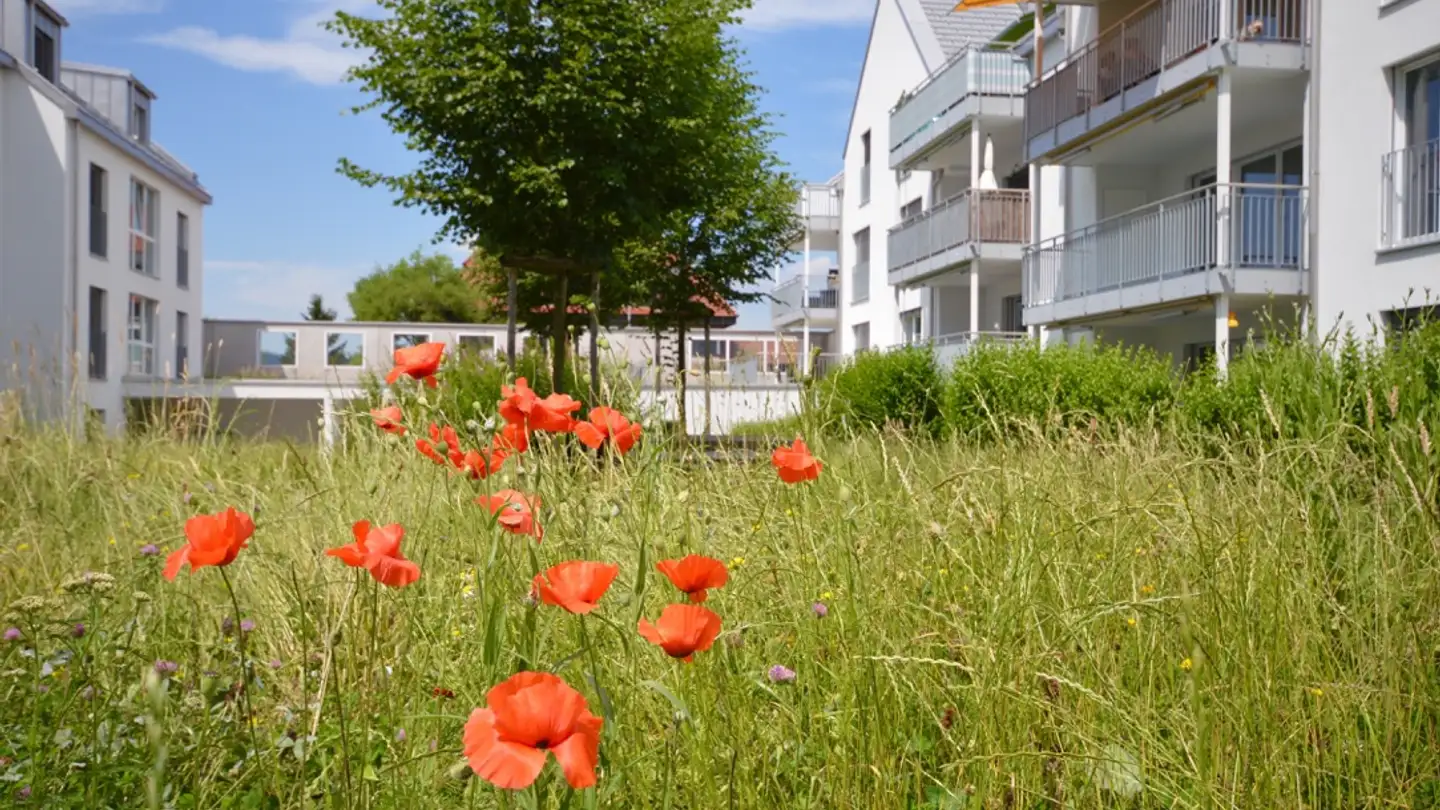 Apartment for rent - Kantonsstrasse 52j, 8863 Buttikon SZ