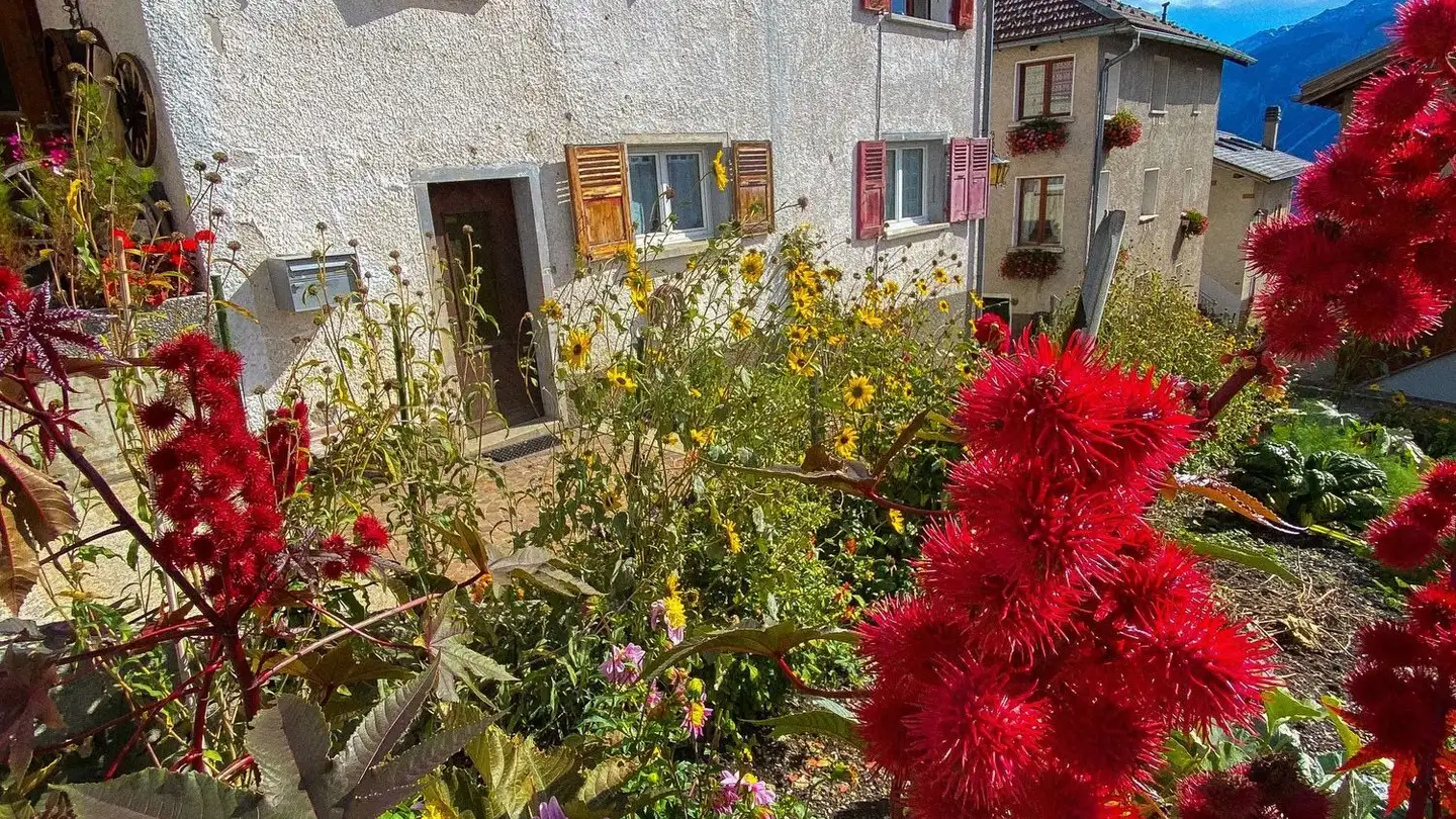 Studio à vendre - Place Du Village 3, 3975 Randogne