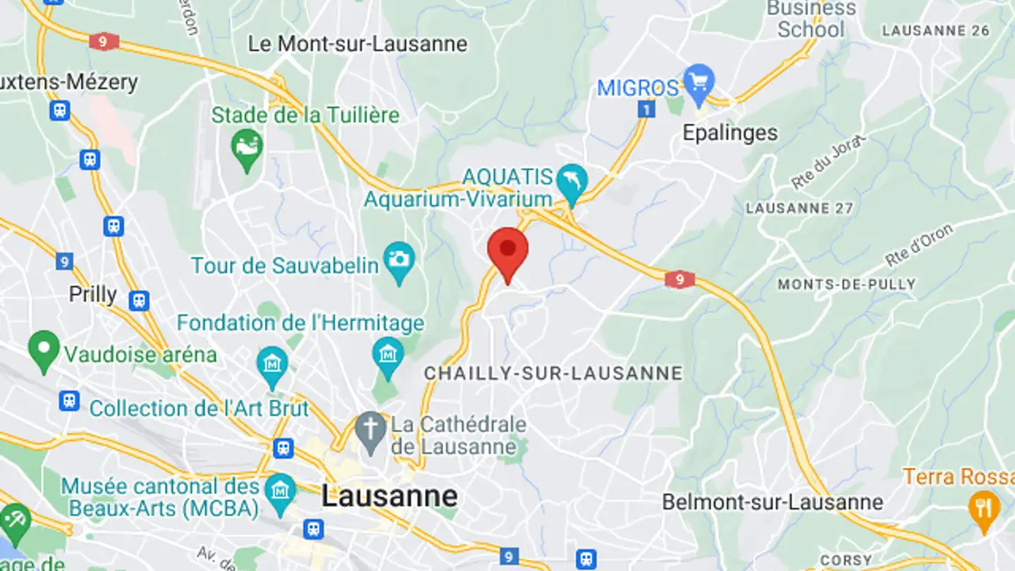 Place de parking extérieure à louer - Route D'oron, 1000 Lausanne 27 - Photo 3