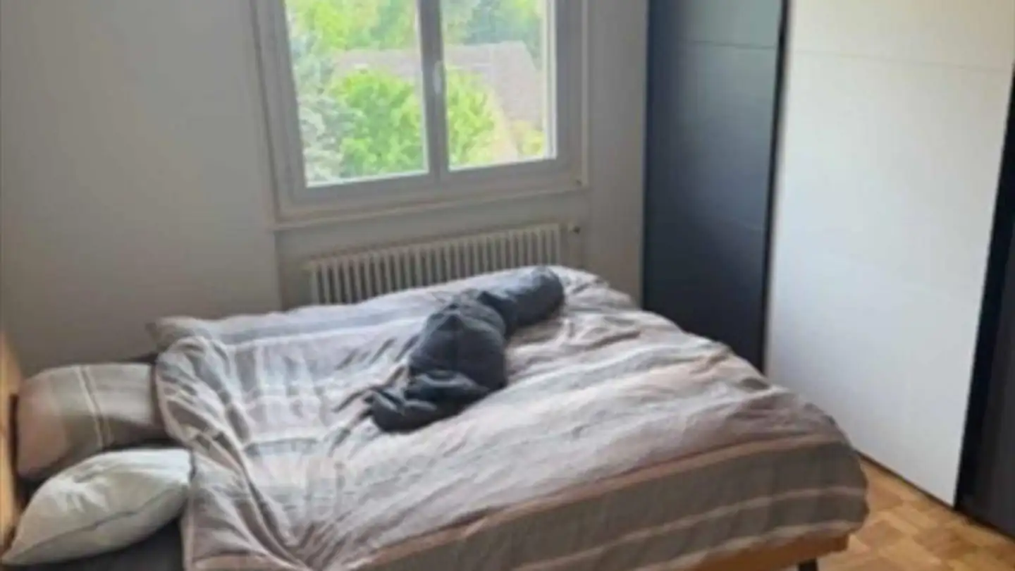 Appartamento in affitto - 1093 La Conversion - Photo 4