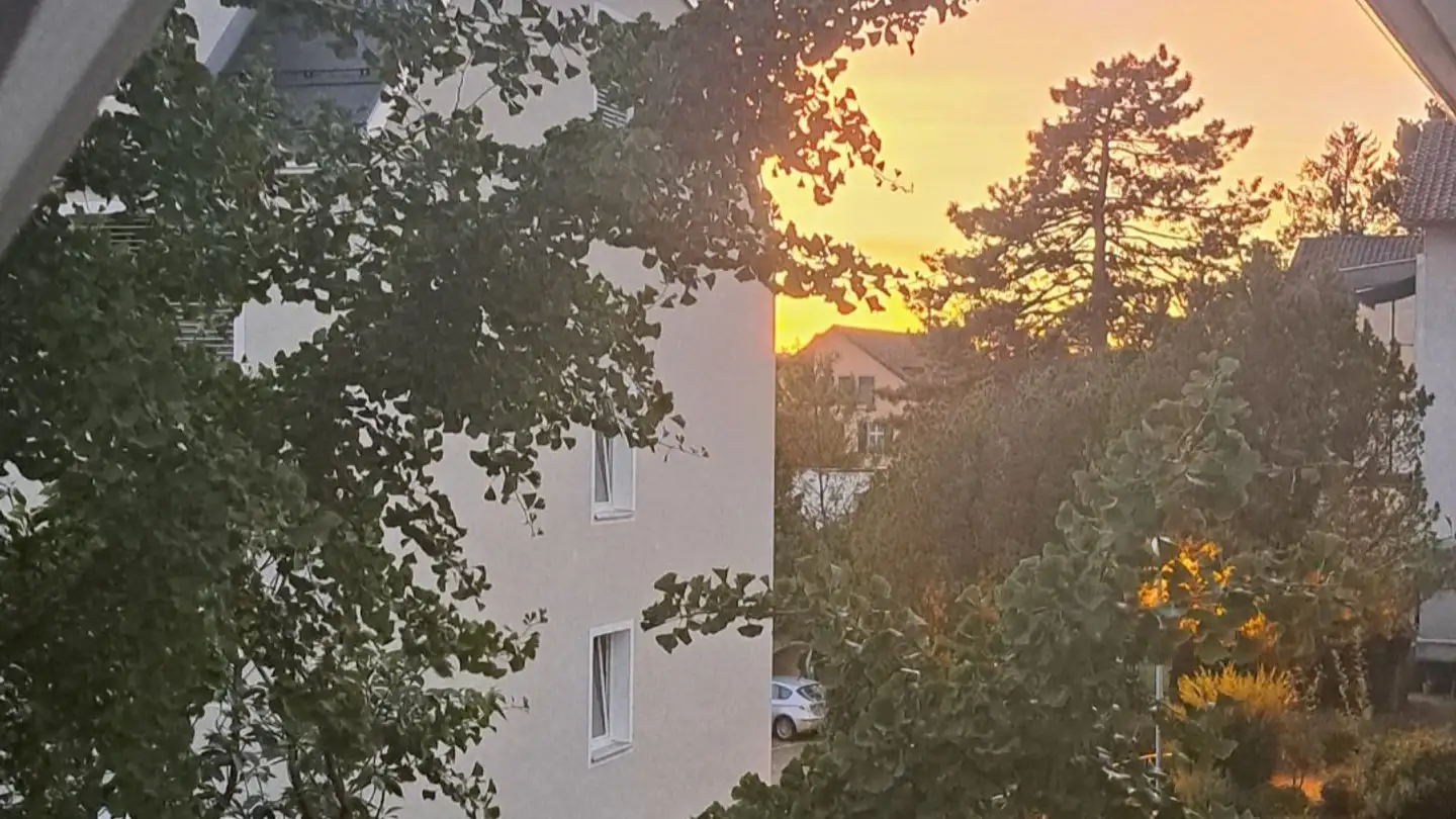 Single room for rent - 8704 Herrliberg - Photo 4