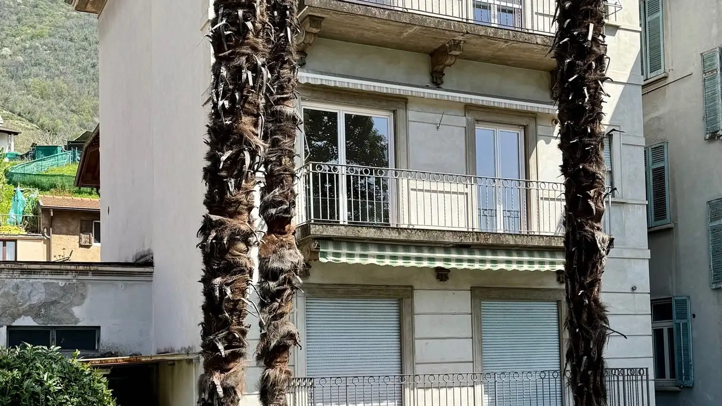 Wohnung mieten - Via Pizzamiglio 1, 6833 Vacallo