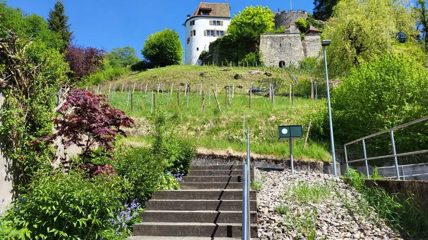Maison en terrasse à vendre - Schlossgasse 13, 5723 Teufenthal AG - Photo 4