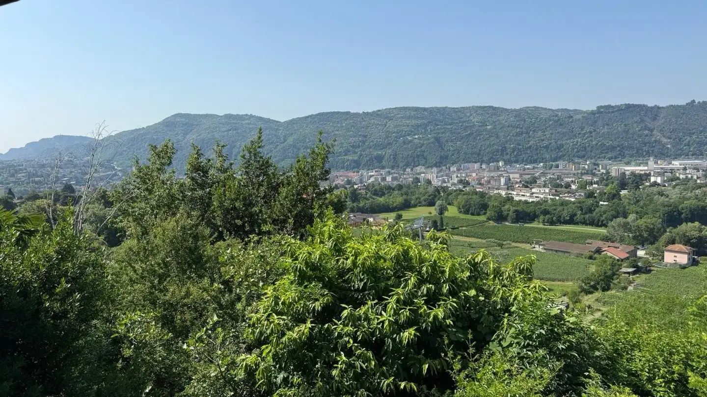 Single house for sale - 6900 Lugano - Photo 3