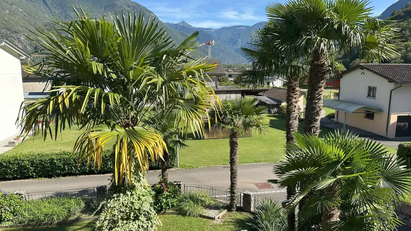 Appartamento in affitto - 6500 Bellinzona - Foto 3