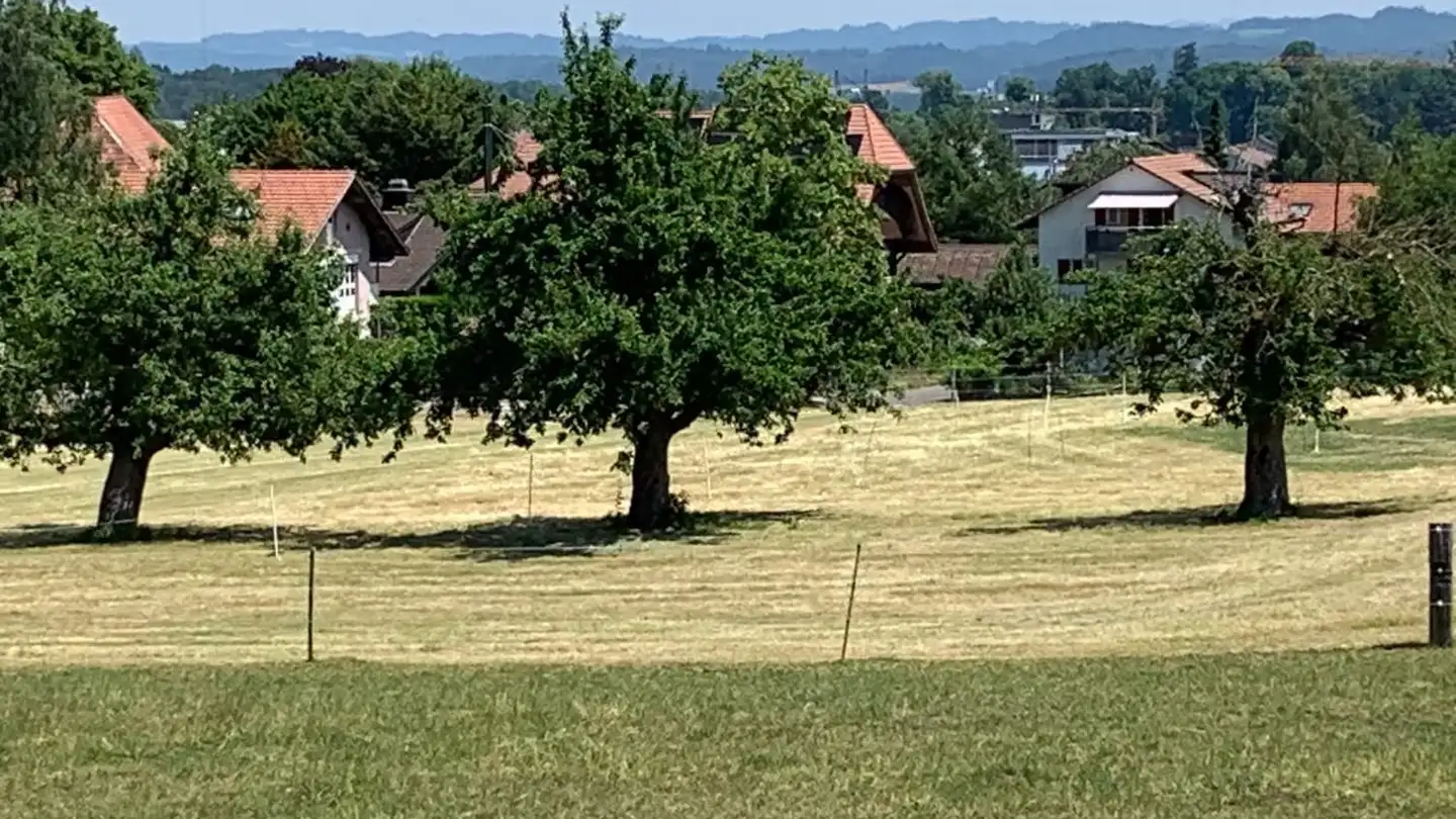 Apartment for rent - Weierweg 11, 3053 Münchenbuchsee