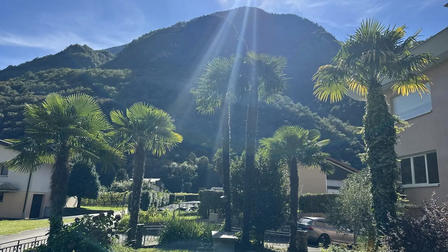 Wohnung mieten - 6500 Bellinzona - Foto 4