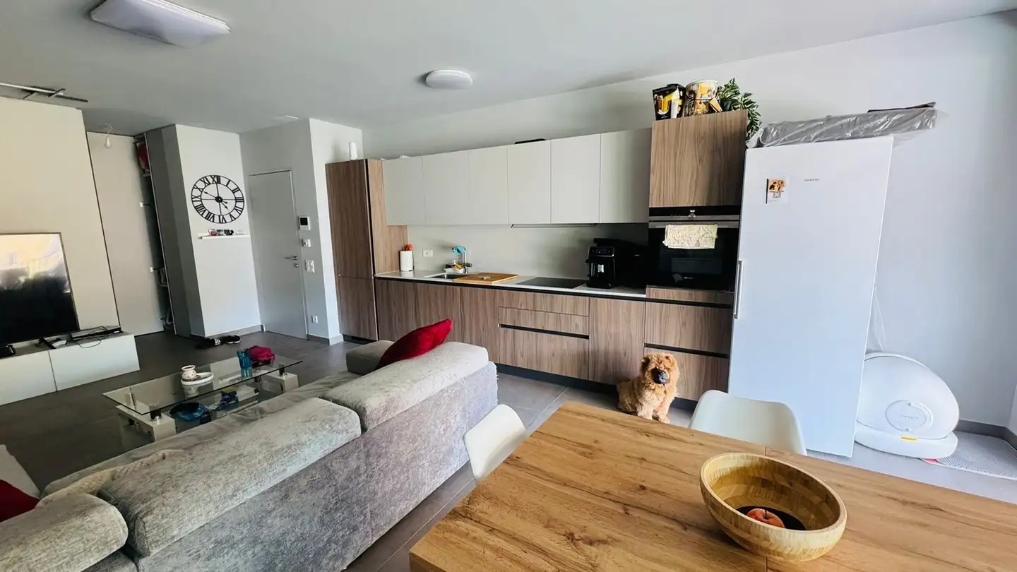 Appartamento in affitto - Via Ferrera 108, 6612 Ascona - Foto 2