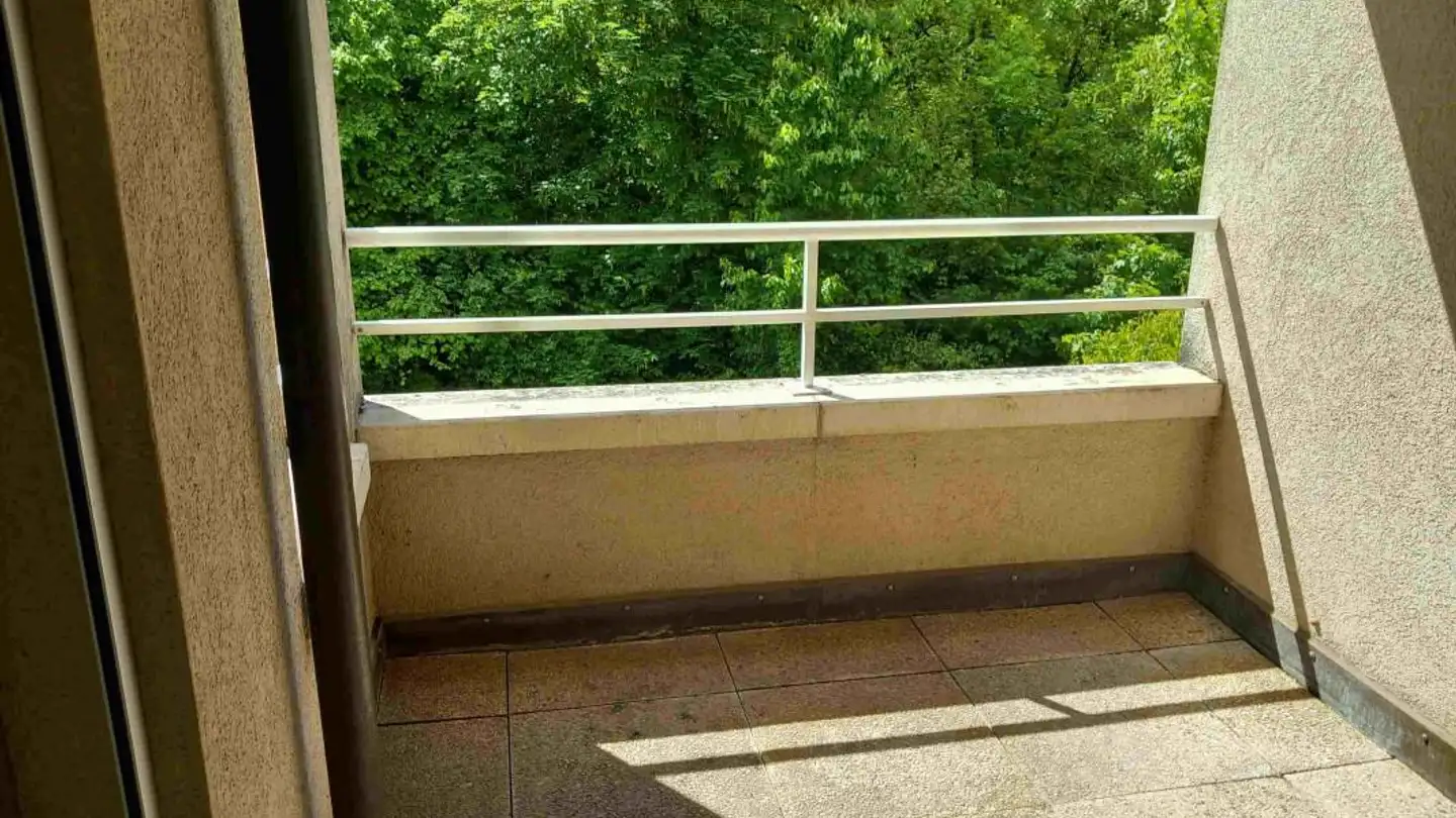 Wohnung mieten - Chemin Des Tines 19, 1260 Nyon - Foto 4