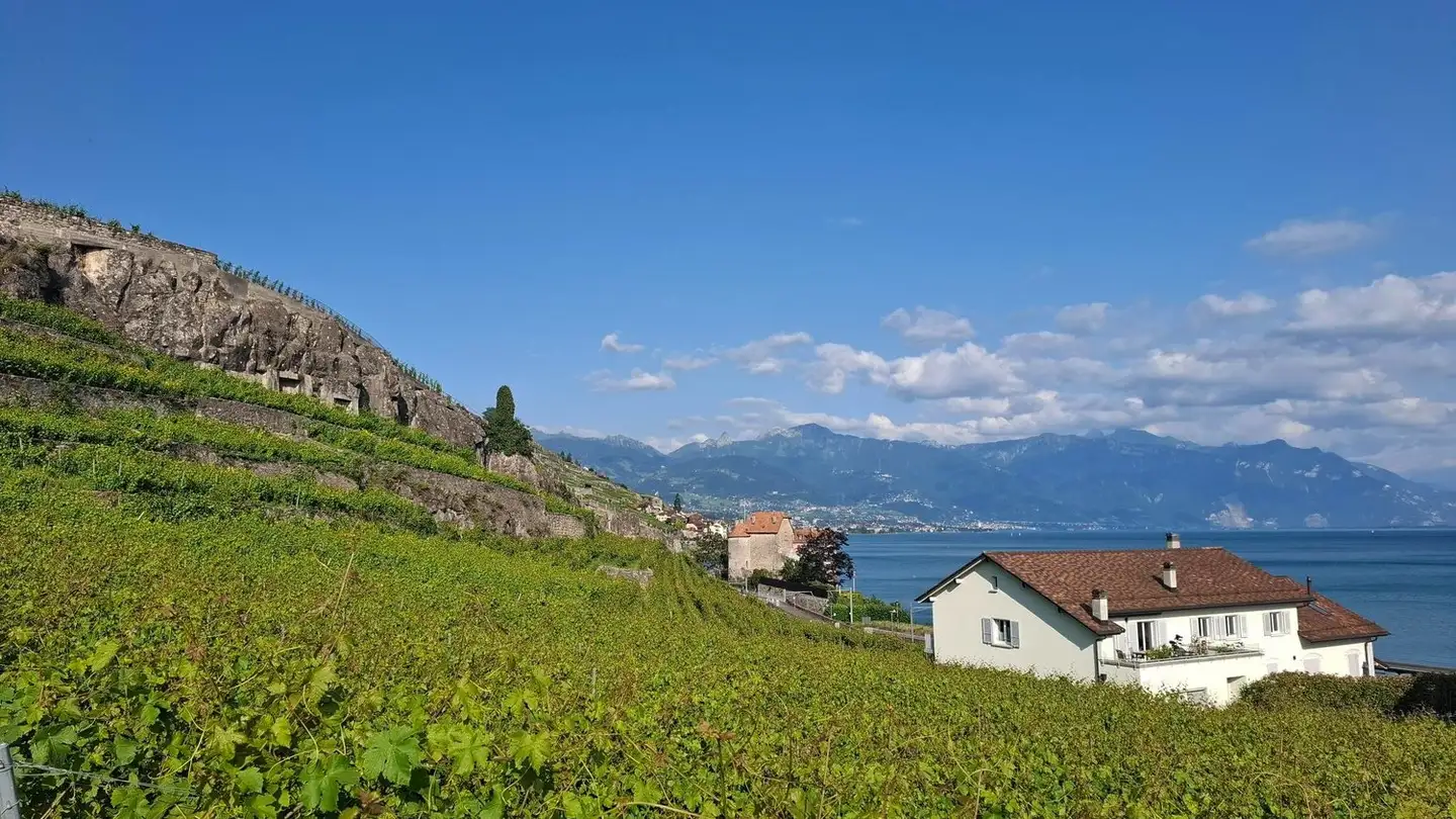 Appartamento in vendita - Route Cantonale 2, 1071 Rivaz