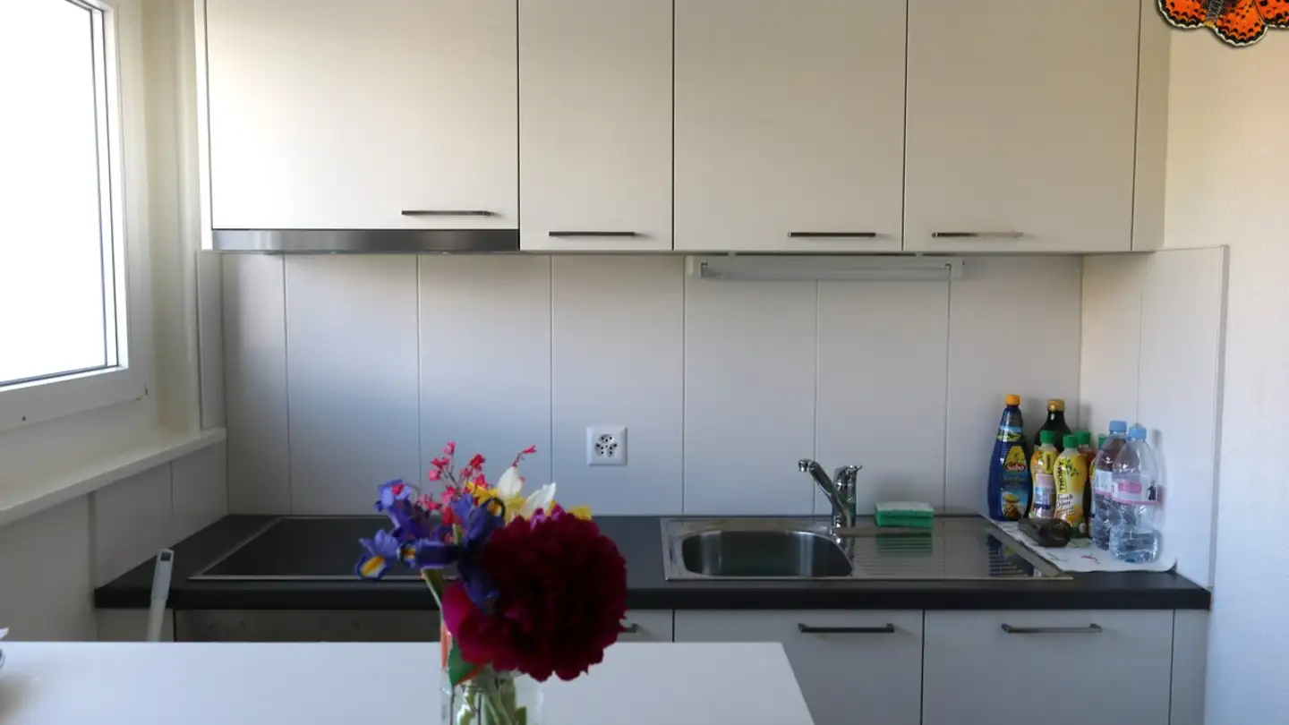 Studio for rent - Avenue Général Guisan 13, 1580 Avenches - Photo 3