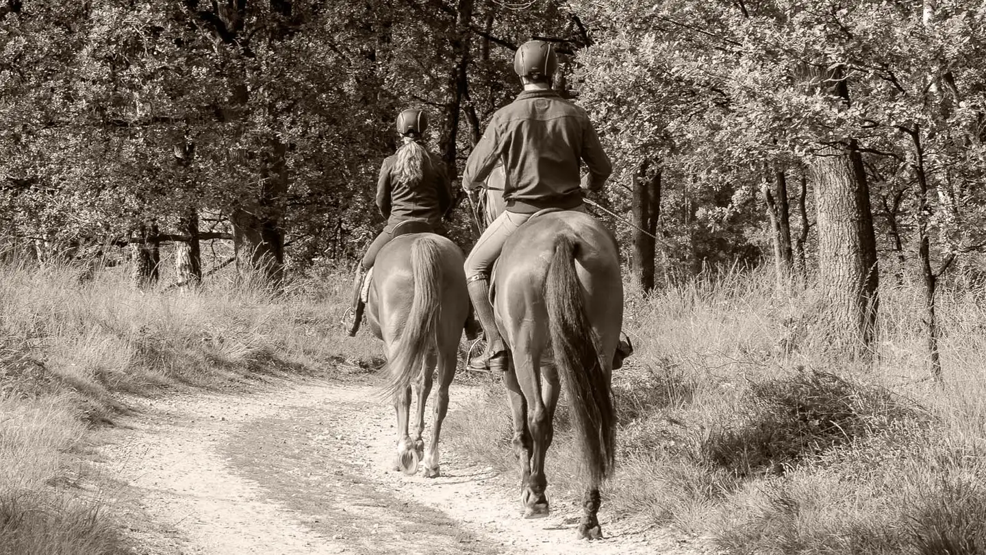 Villa in vendita - 8802 Kilchberg ZH - Photo 4