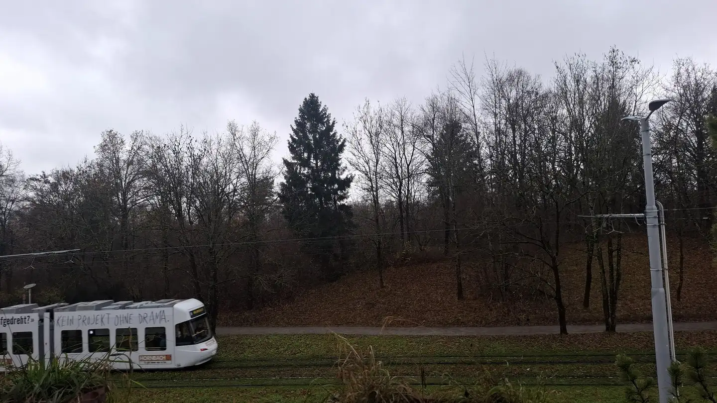 Stanza singola in affitto - Irchelstrasse 34, 8057 Zürich - Foto 3